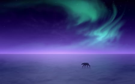 Polar Bear on Aurora Borealis Winter Night - nature, winter night, bear aurora borealis, polar