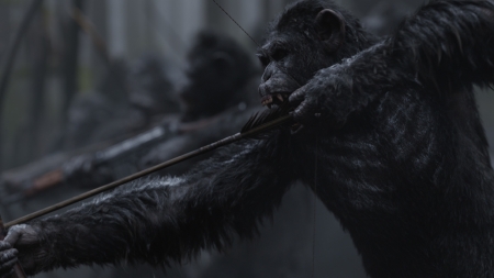 War for the planet of the apes - of the apes, for, War, planet, the