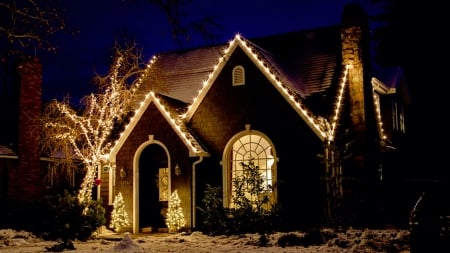 Christmas Lights - decoration, winter, houses, night, snow