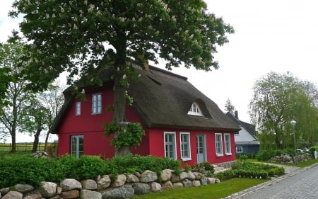 House - cottage, street, tree, house, stones