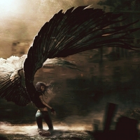 â•°â˜†â•®áƒ¦ â€Wing Womanâ€áƒ¦ â•°â˜†â•®