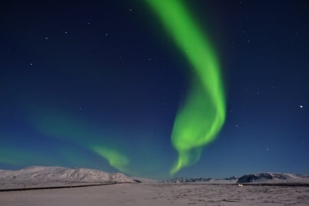 Aurora-Borealis - aurora, tree, borealis, nature, snow