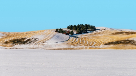 landscape - nature, sky, tree, landscape