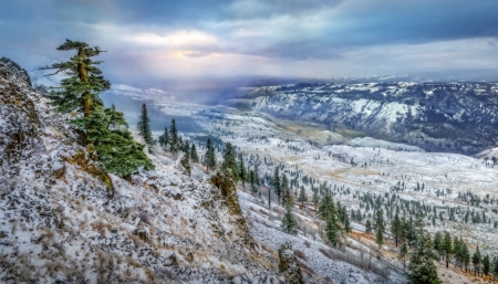 Mountain - nature, Mountain, snow, natu, wintwer, tree