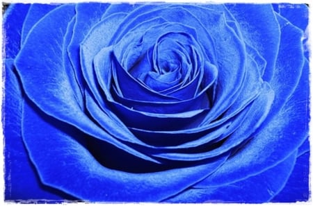 Blue...Forever