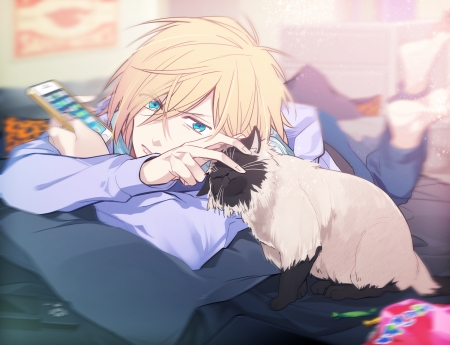 Yuri on ice - yurio, cat, yuri on ice, anime