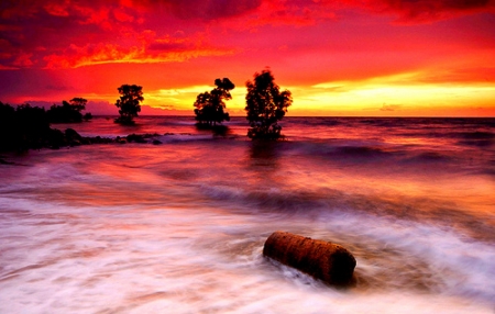 Sea Sunset - clouds, trees, sunset, water, nature, landscape, sky