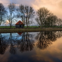 Trees Reflected in Lake