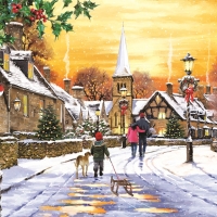 Village Street