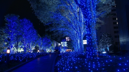 Blue Christmas Lights! - christmas, colour, blue, lights