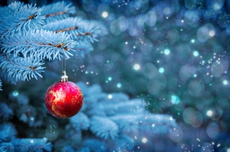 Christmas ball - ornament, new year, branch, winter, ball, christmas, pretty, frost, snow, beautiful, holiday, tree, sparkles, decoration