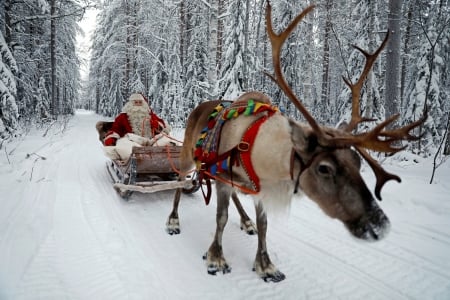 Santa on his sleigh