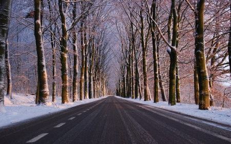 Winter Road