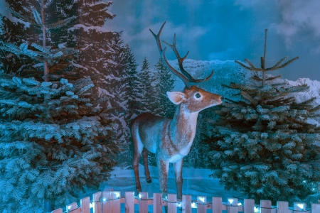 â€¢áƒ¦âœ¿áƒ¦â€¢ - reindeer, art, blue, winter, fantasy