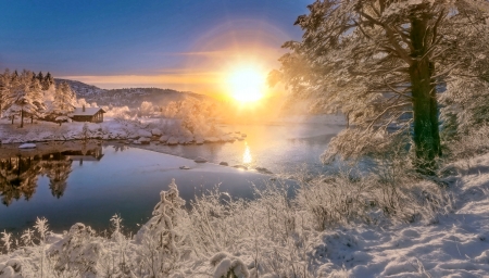 Winter Sun - Winter, Snow, Sun, Nature