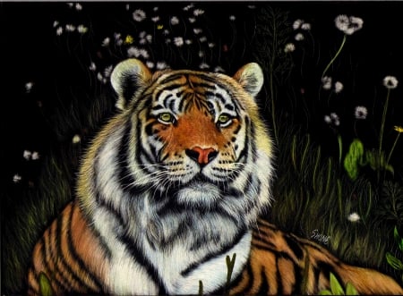 Tiger - black, pictura, painting, dandelion, orange, art, tiger