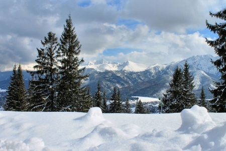 Tatra Mountains, Carpathians FC - wide screen, carpathians, photography, winter, mountains, snow, beautiful, scenery, around the world, pine trees, photo