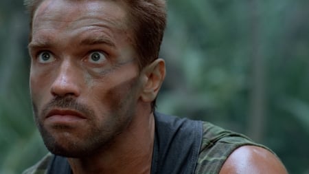 Arnold in Predator - arnold, predator, movie, men