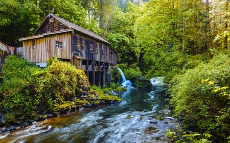 River by old mill - river, water, nature, creek, grass