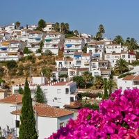 Flowers in Spain