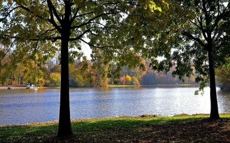 Autumn Park - lake, trees, park, autumn