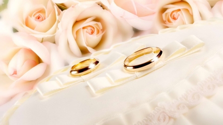 Wedding - love, wedding, rose, rings