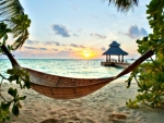 a hammock at sunset