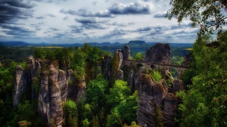 mountains and trees