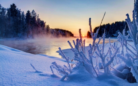 Winter Morning - water, reflection, river, trees, sun, snow