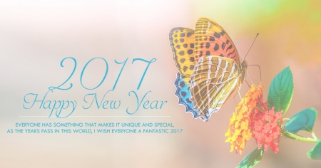 HAPPY 2017 TO ALL OF DN! - numbers, wings, flower, animal, butterfly, new year