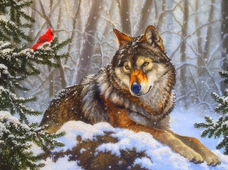 Peace of Winter - cardinal, winter, attractions in dreams, wolf, snow, holidays, xmas and new year, Christmas, love four seasons, animals