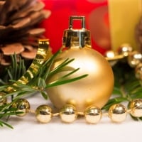 Cones And Golden Bauble on a fir branch