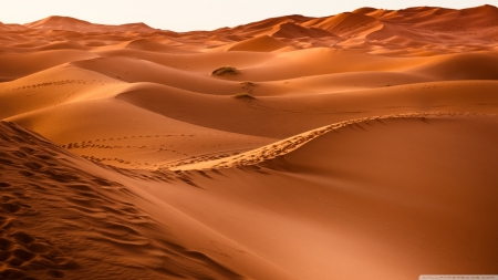 Morocco Desert