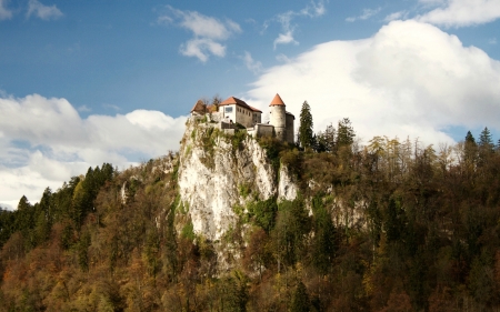 Bled Castle, Slovenia - medieval, slovenia, forest, castle