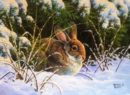 Nestled in Winter - xmas and new year, winter, bunny, christmas, love four seasons, holidays, rabbit, snow, attractions in dream