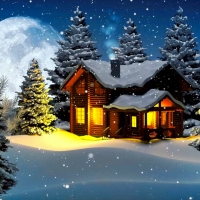 Winter house