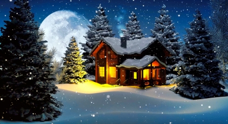 Winter house