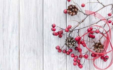 Merry Christmas! - new year, craciun, berry, pinecone, christmas, wood, white, red, card