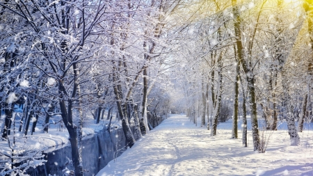 River flowing through a park - winter, trees, snow, river