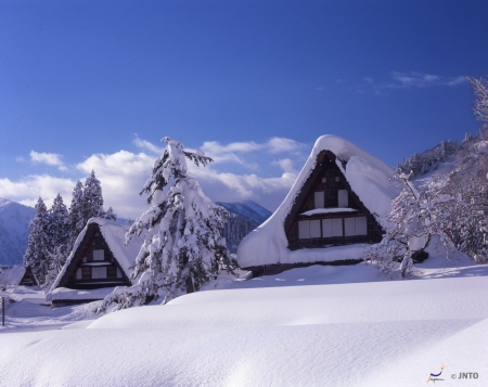 Gokoyama Winter - village, japan, snow, winter, scenery, gokoyama, japanese