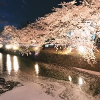 Matsumoto Garden