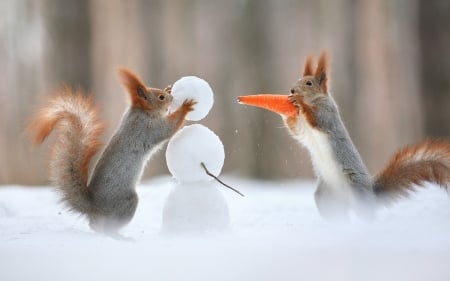 The Snowman - winter, funny, squirrels, snow