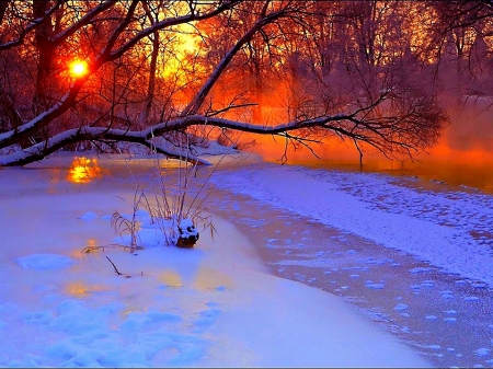 Winter Sunset - nature, cold, trees, evening, snow, winter, sunset, pond