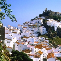 Flowers in Spain