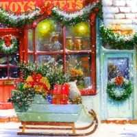 Shop Window