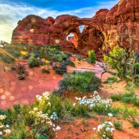 Sunbeams at Utah National Park