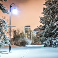 Lantern in the Winter Park