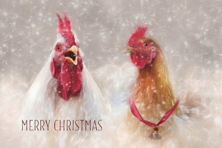 Christmas Chickens - love four seasons, winter, xmas and new year, chickens, holidays, christmas, snow