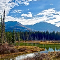 Lake Mountains Trees in HDR