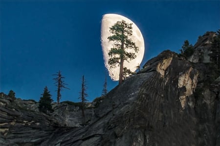 Moonrise at Yosemite 1 - wide screen, california, national park, yosemite, landscape, beautiful, photo, usa, scenery, photography, nature